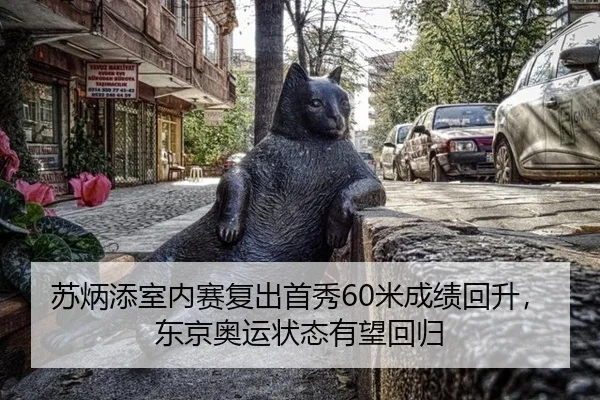 su-bing-tian-shi-nei-sai-fu-chu-shou-xiu-mi-cheng-ji-hui-sheng-dong-jing-ao-yun-zhuang-tai-you-wang-hui-gui-3-150.jpg